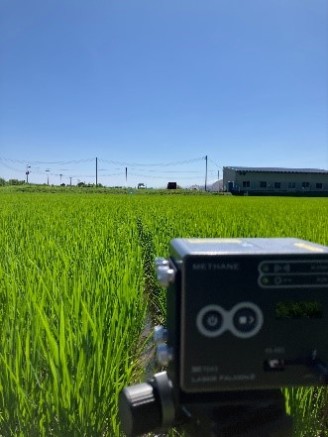 水田における計測の様子